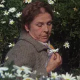 The Criterion Collection Announce April 2011 Blu-ray Slate Including Harold and Maude