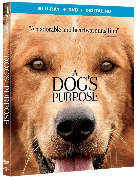 A Dog's Purpose Blu-ray Cover Art