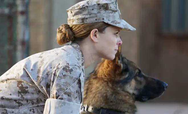 Win Megan Leavey