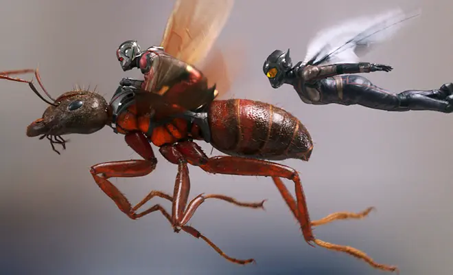 Weekend Box Office Ant-Man and the Wasp