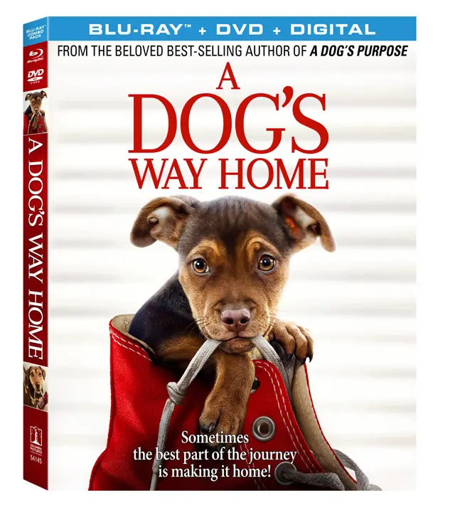 A Dog's Way Home Blu-ray Cover Art