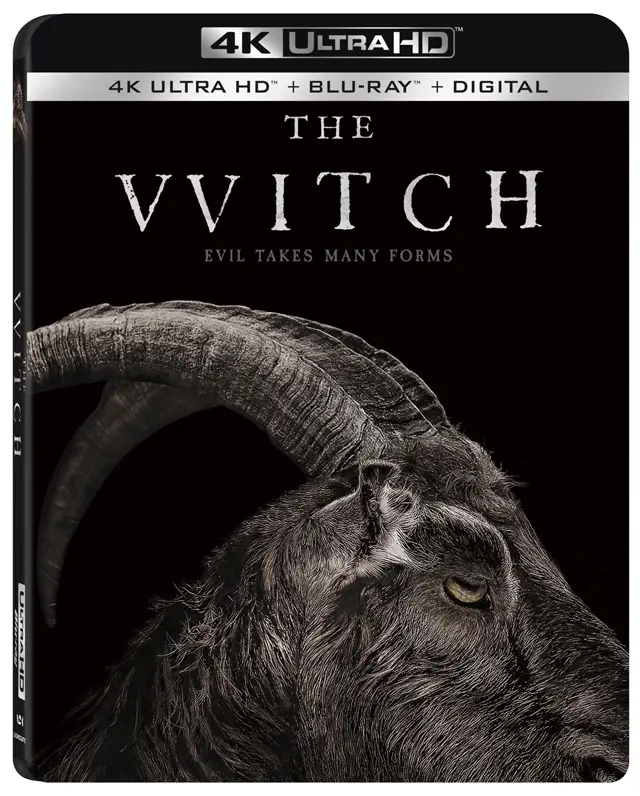 The Witch 4K Cover Art