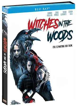 Witches In The Woods Blu-ray Cover Art