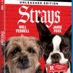 Strays blu-ray dvd release date